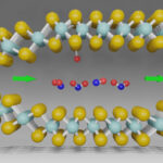 Interkalacja NO2 w MoTe2